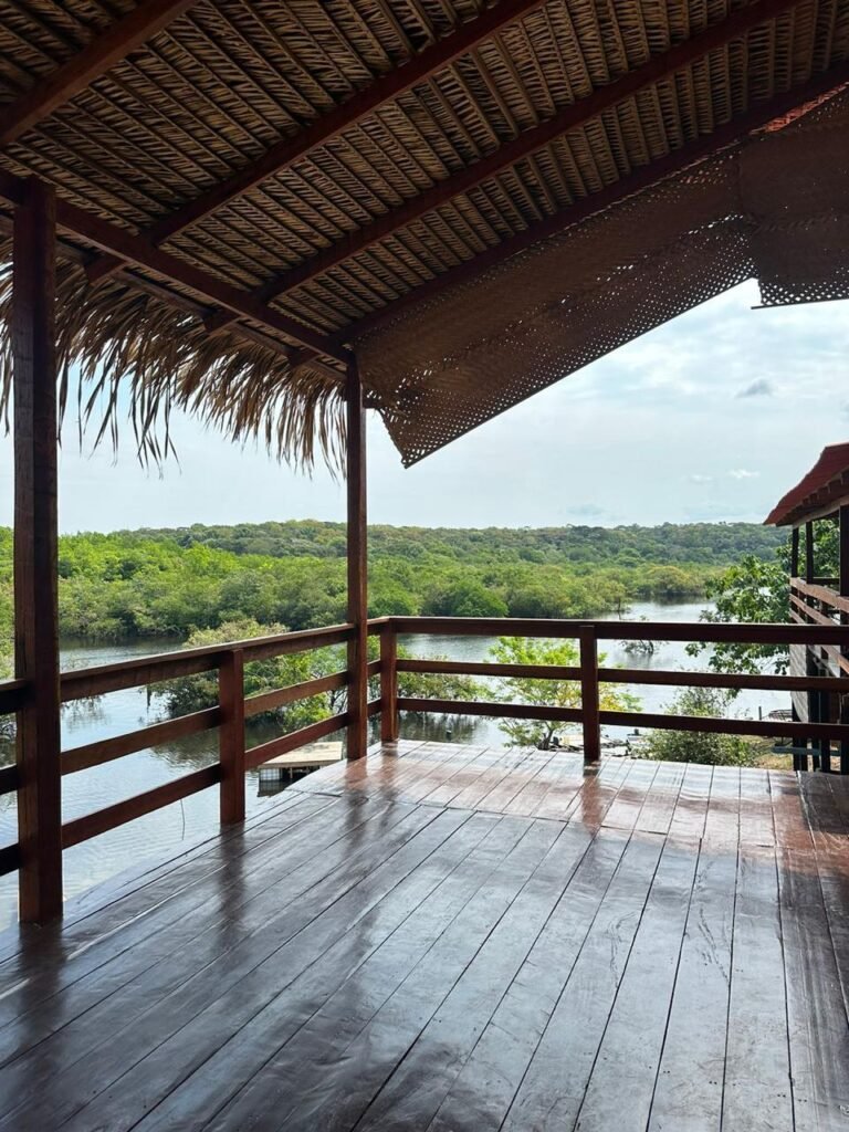 WhatsApp Image 2026-02-06 at 09.01.47