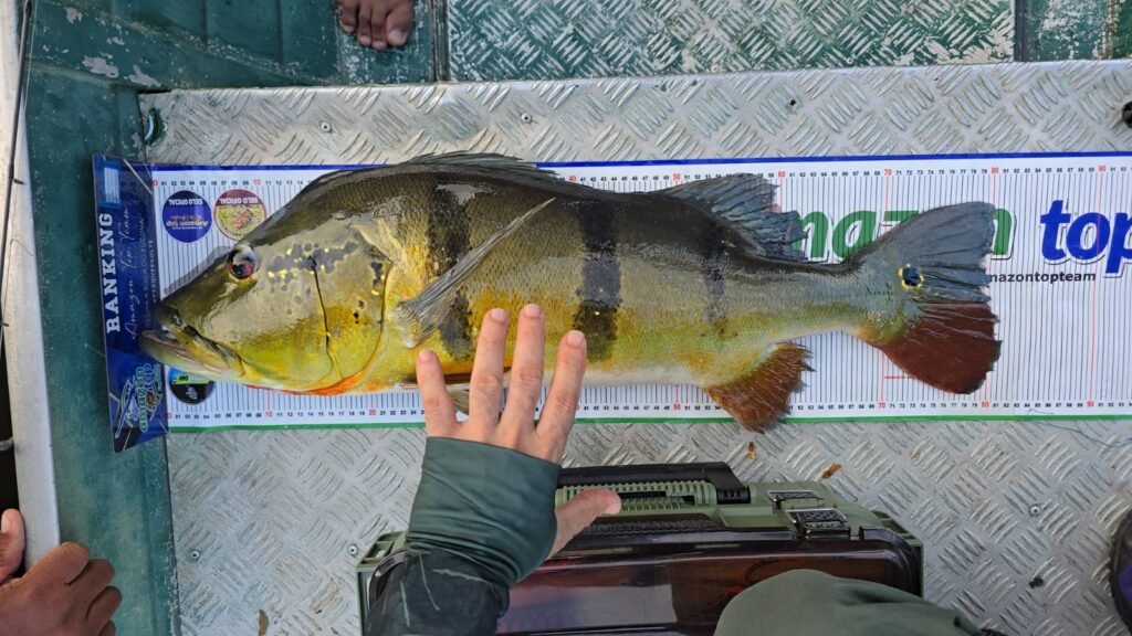 WhatsApp Image 2026-03-02 at 09.225.34