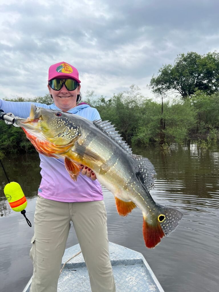 WhatsApp Image 2026-03-02 at 09.28.56