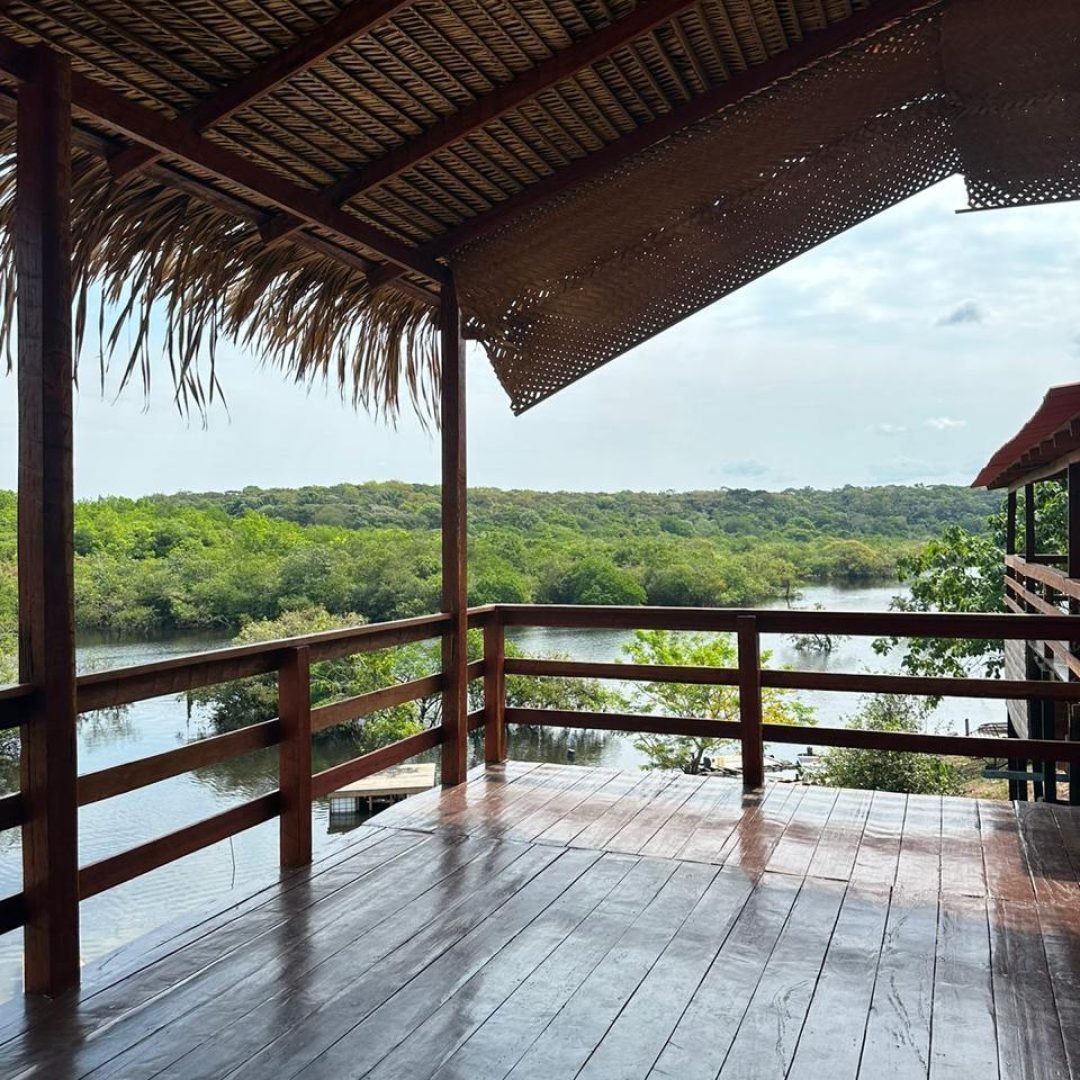 WhatsApp Image 2026-02-06 at 09.01.47 WhatsApp Image 2026-02-06 at 09.01.47